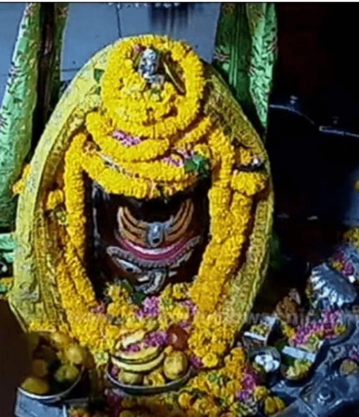అందుకో శంకరా మా నివేదనని…
