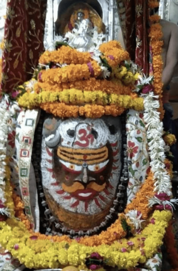 వృద్ధ మల్లికార్జున రూపమై…