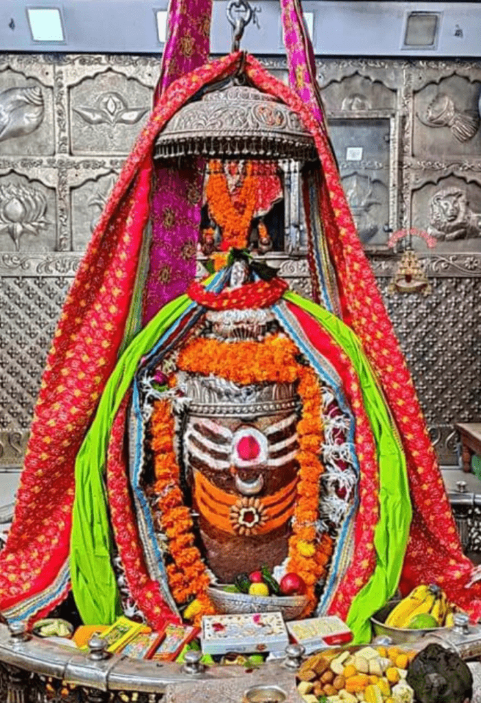 అడ్డనామాలోడ..ఆదిశంకరుడా…
