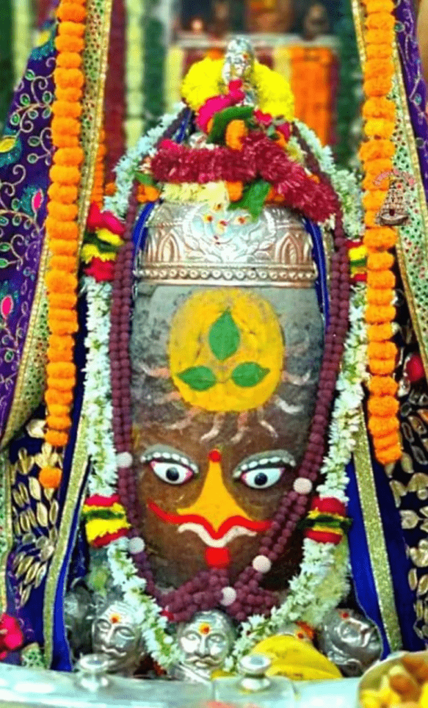 శివ శంకరా…విఘ్న వినాయక రూప అభయంకరా…