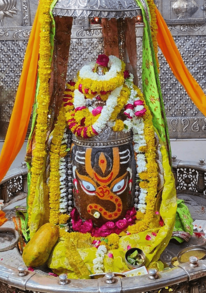 ఓం గణపతి రూపాయా శివశంకరా పాహిమాం…పాహిమాం.