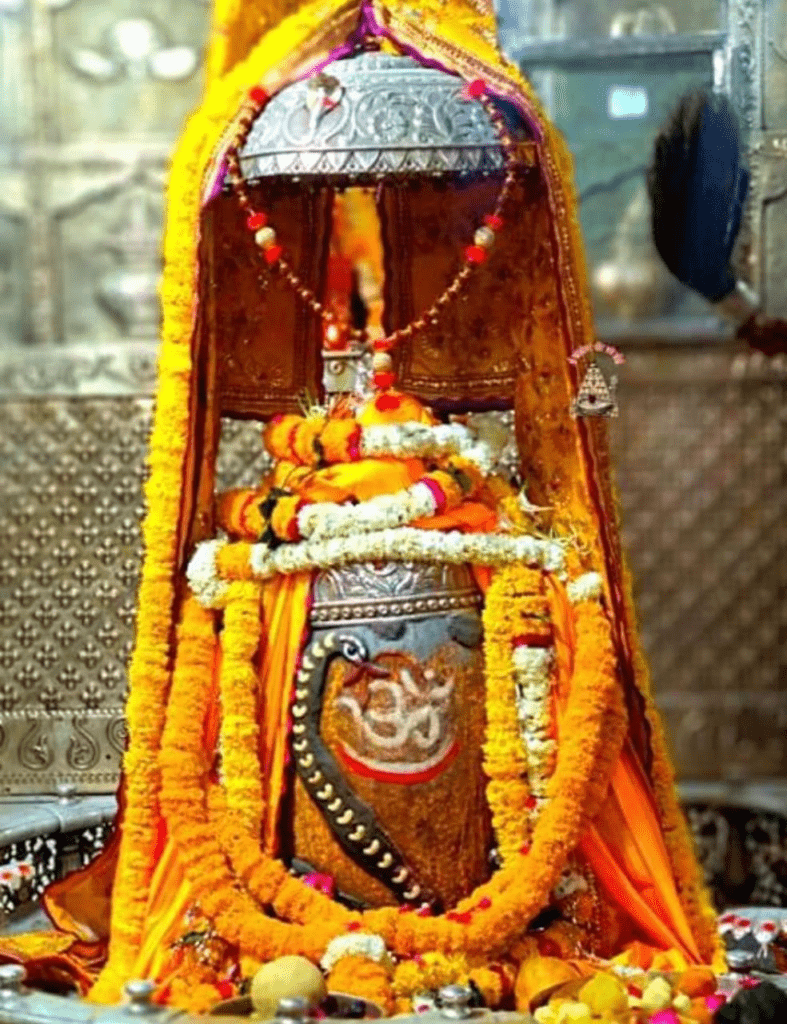 పెనవేసుకున్న పన్నగము పూజించెనయా శివా… నిను స్పర్శతో…