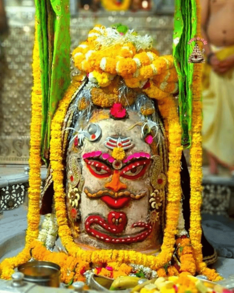 కదలవు మెదలవు..కనులను కదపవు…