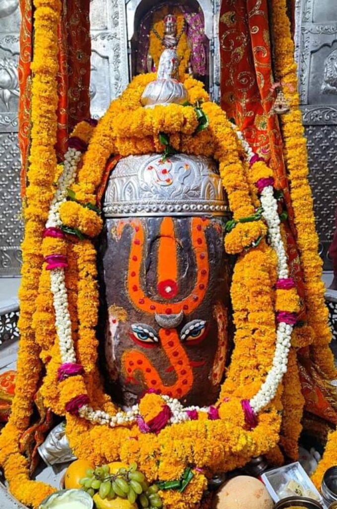 సిద్ధి బుద్ధి వినాయకా…