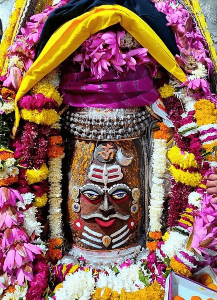 మన్నించరా శంకరా…