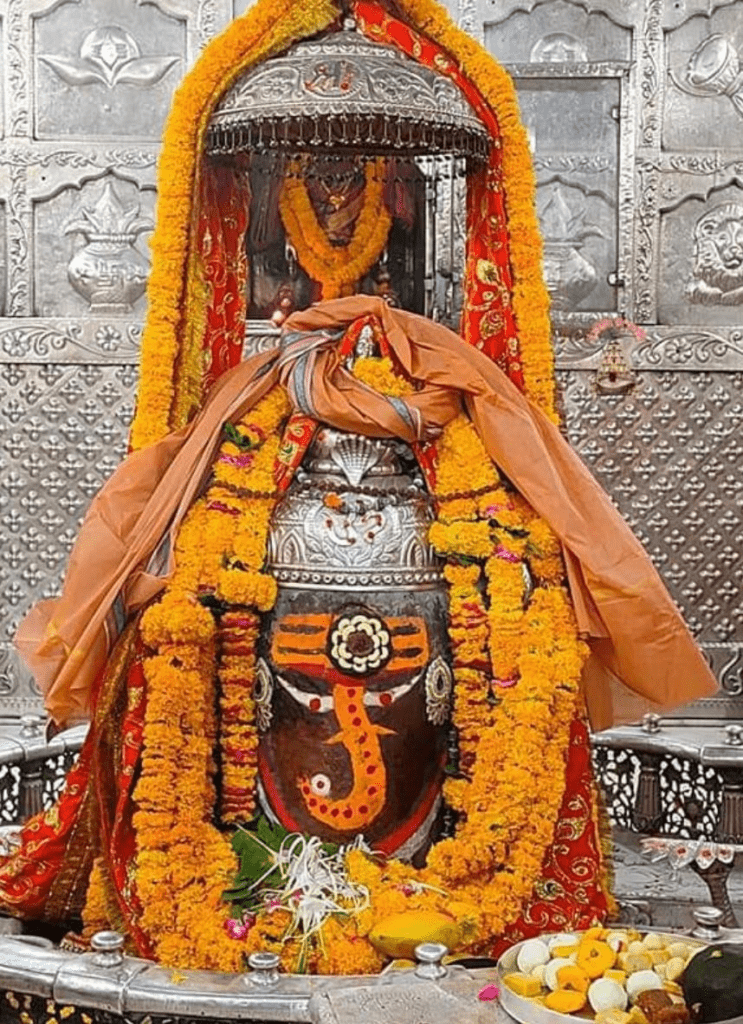ఓం నమో శ్రీ విఘ్నేశ్వరాయ నమో నమః..