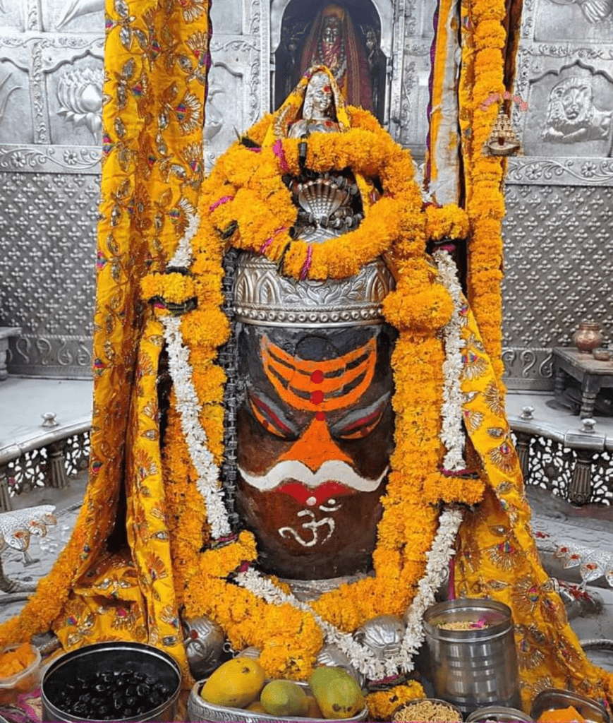 దోసిలితో పట్టి తెచ్చి ఉంచామురా శంకరా నేరేడు పళ్ళు…