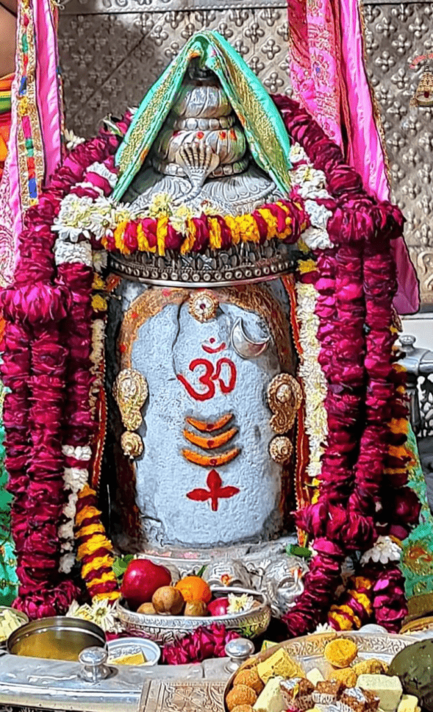 ఉన్నావయా శంకరా…మా మనసులో..