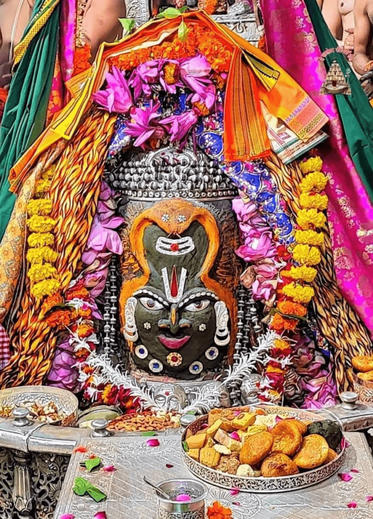 నమో నాగరాజా నమో నమో….